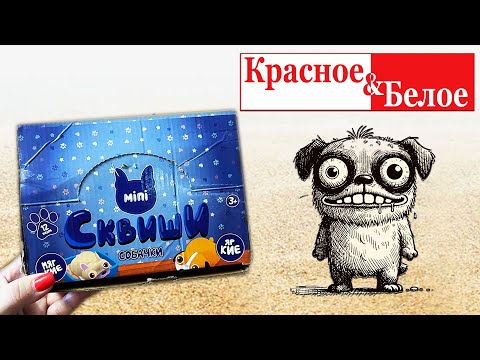 Видео: 🔥🐶 Сквиш СОБАЧКИ от КБ 🔥🐶 Самые няшные СКВИШИ 💜
