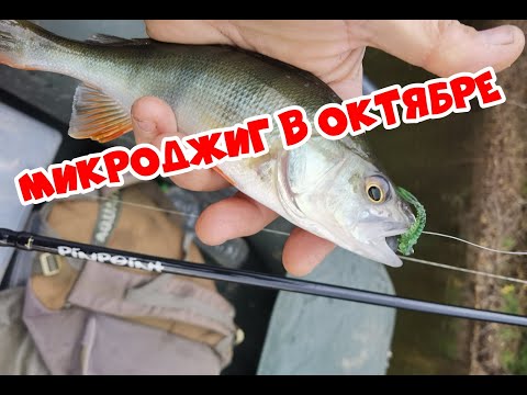 Видео: Вечерняя "Раздача" поклевок! Окунь на микроджиг в октябре