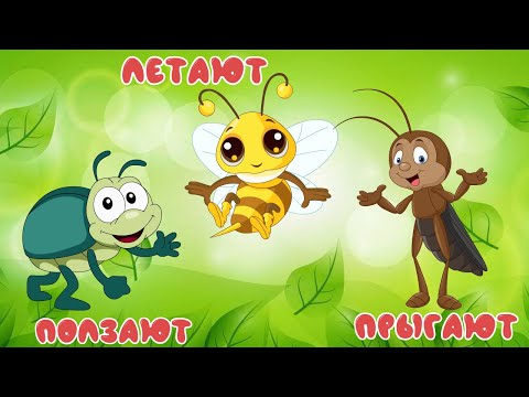 Видео: 🦋 Насекомые для детей. 🐞 Учим насекомых. Развивающий мультик для детей.
