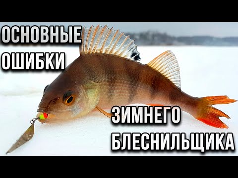 Видео: Основные ошибки зимнего блеснильщика.