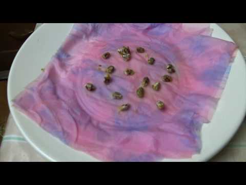 Видео: ГРИБЫ на даче. Опенок и Вешенка. Часть 1. Проверяем мицелий