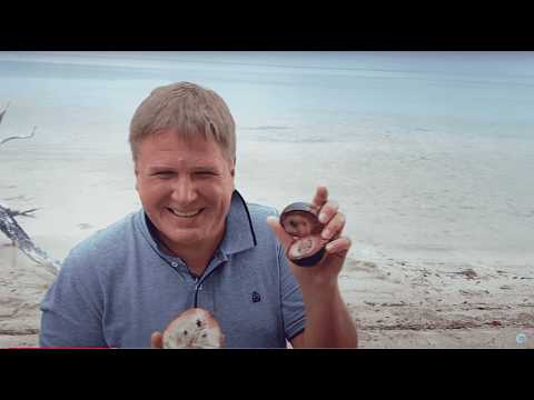 Видео: МЕКСИКА. ПУТЕШЕСТВИЕ ПО ЮКАТАНУ