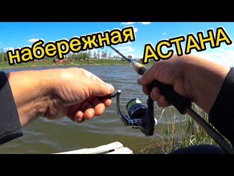 Видео: Рыбалка  на спиннинг! Окуня разбушевались! bass fishing