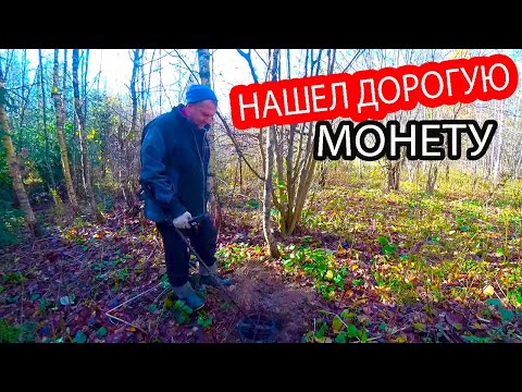 Видео: ПОВЕЗЛО НАШЕЛ ДОРОГУЮ УДЕЛЬНУЮ МОНЕТУ. КОП В ЛЕСУ. КЛАДОИСКАТЕЛЬ РУСЯ