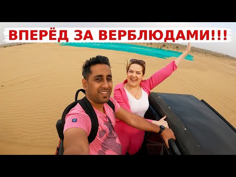 Видео: Едем покорять индийскую пустыню Тар- неожиданный поворот ! Настоящий Аутентичный Раджастан!