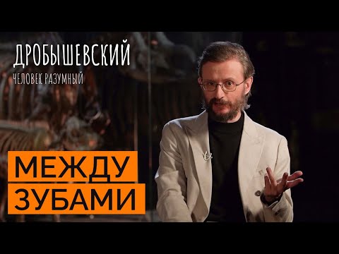 Видео: Чем питались самые древние предки человека // Дробышевский. Человек разумный