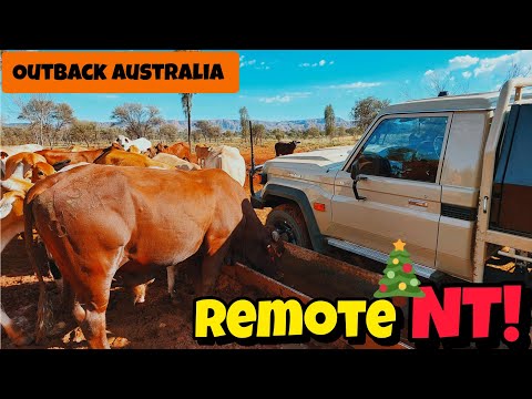 Видео: Toyota LandCruiser 70 серии 2024 года в работе!