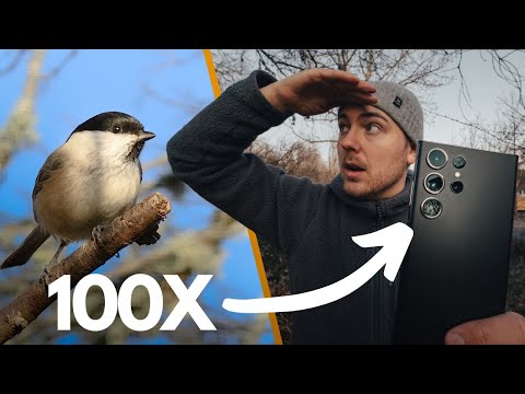 Видео: Тест камеры Galaxy S23 ULTRA｜Фотосъемка природы на телефон?