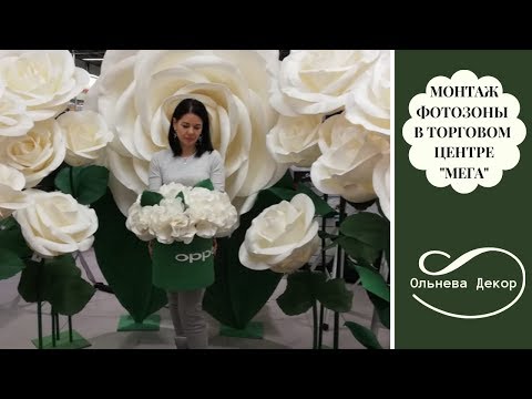 Видео: МОНТАЖ ФОТОЗОНЫ ИЗ РОСТОВЫХ ЦВЕТОВ В ТОРГОВОМ ЦЕНТРЕ "МЕГА". Декоратор Ольга Ольнева.