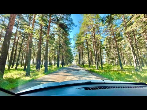 Видео: Дорога от Байны через Богданович до Арамиля. Поиск Грибов и пляж Двуреченска!