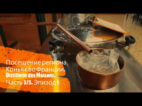 Видео: Коньяк. Производство коньяка во Франции. Часть 3/5 Эпизод 1. Distillerie du domaine des Moisans.