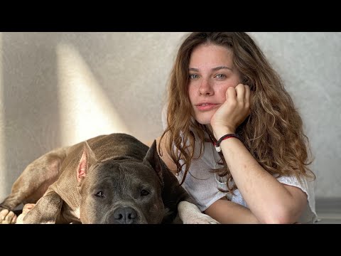 Видео: В отпуск с собакой. В поход с Амстаффом. Амстафф в дороге. Часть 1