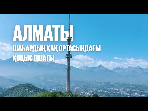 Видео: Шаһардың қақ ортасындағы қоқыс ошағы | Алматы | Таза қала