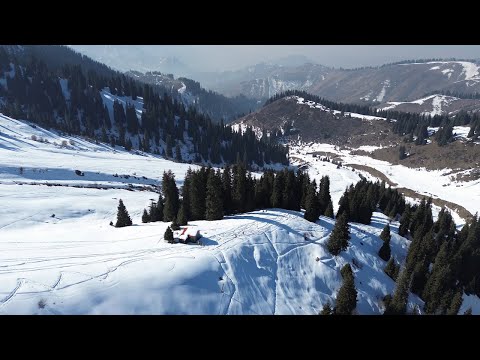 Видео: Скитур. 22.02.25. Алматы. Ущелье Кимасар. Лавинная тренировка. Сборка эвакуационных саней.