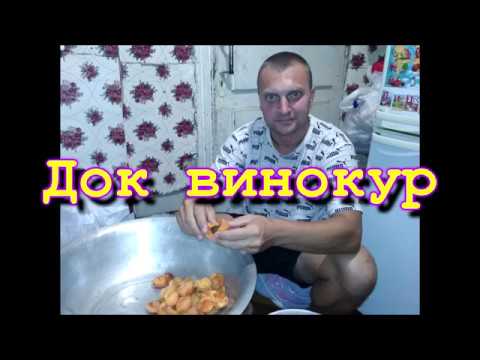 Видео: Вино из абрикос!