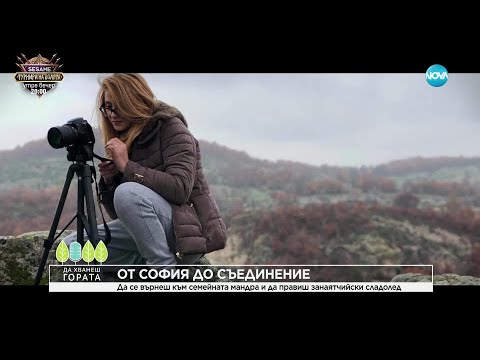 Видео: Да хванеш гората (13.04.2025)