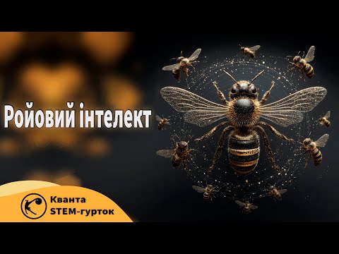 Видео: Ройовий інтелект