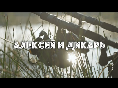 Видео: Ловля карпа на диком озере