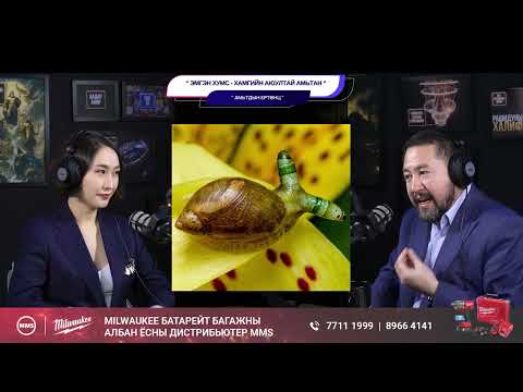 Видео: Эмгэн хумс - Хамгийн аюултай амьтан - АМЬТДЫН ЕРТӨНЦ
