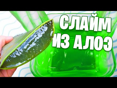 Видео: Слайм без клея из алоэ / Проверка нового рецепта слайма