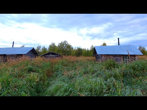 Видео: Путешествие на Ямозеро Ч27. Одиночный сплав по реке Печорская Пижма. Лесная изба. Один в тайге