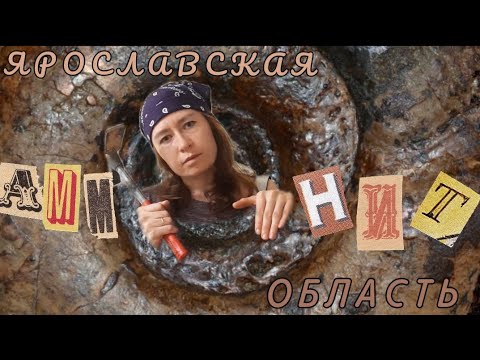 Видео: Палеонтология Ярославской области. Аммониты Юрского периода. Разрезы Глебово, Черемуха, Йода.