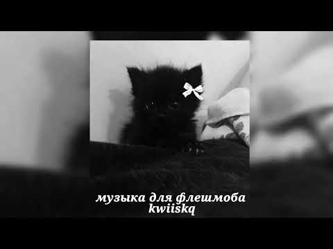 Видео: музыка для флешмоба ||песни из тик тока 2024||🖤