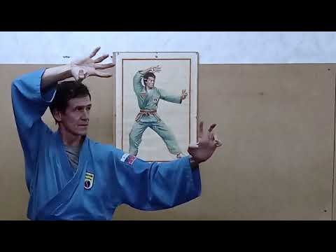 Видео: МОЙ ПУТЬ ВОВИНАМ. СЕВЕР / MY WAY VOVINAM. NORTH