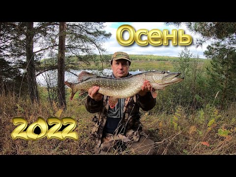 Видео: ПОЙМАТЬ ЩУКУ - ЭТО ПРОСТО !!! ЛОВЛЯ ЩУКИ НА ЖИВЦА!