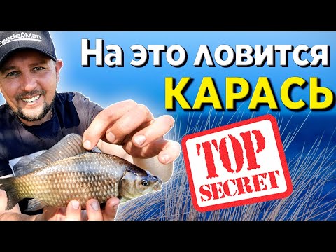 Видео: Карась на ФИДЕР! Секретная прикормка на карася.