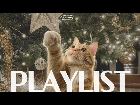 Видео: 𝗽𝗹𝗮𝘆𝗹𝗶𝘀𝘁🎁Особый рождественский чилл-поп плейлист🎄8 часов музыки для кафе