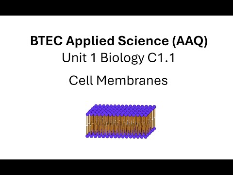 Видео: BTEC Прикладная наука, Модуль 1, Биология, C1, Клеточные мембраны