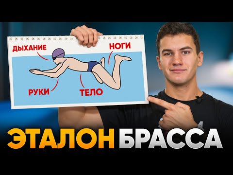 Видео: ЭТАЛОННАЯ техника брасса. ПОШАГОВО: Руки, корпус, ноги и дыхание в плавании