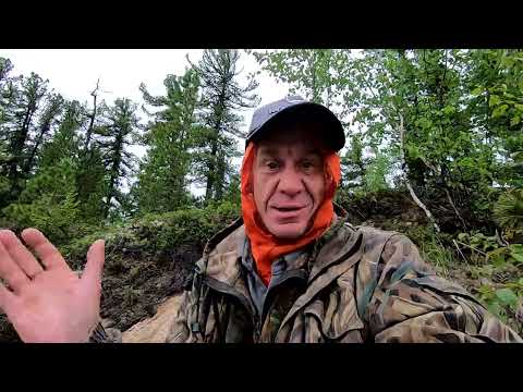 Видео: Если потрудиться, то можно много наловить. Хорошая, трудовая рыбалка на дальнем кордоне.