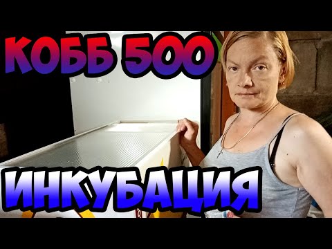 Видео: КОББ 500/ Режим инкубации/ Закладка