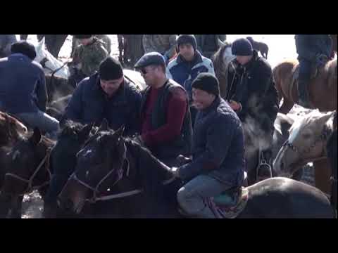 Видео: Шарапхана ауылының жеке кәспкері Зайдулла ағамыздың көкпар тойы