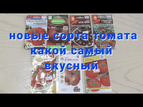 Видео: Новые сорта томатов , тестирую весь сезон , какой самый вкусный ?