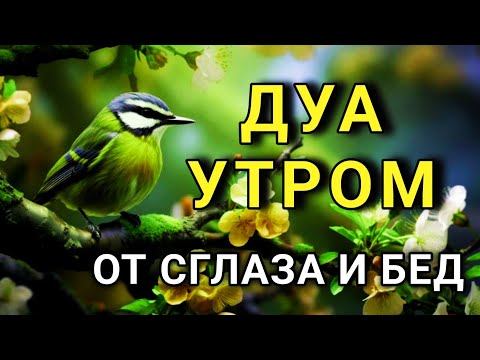 Видео: 💫 МОЩНОЕ ДУА ОТ СГЛАЗА И ЗАВИСТИ! 🤲💯