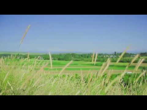 Видео: Нквд 98