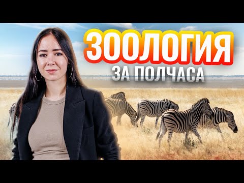 Видео: Повторение зоологии для ЕГЭ за полчаса | Биология Умскул