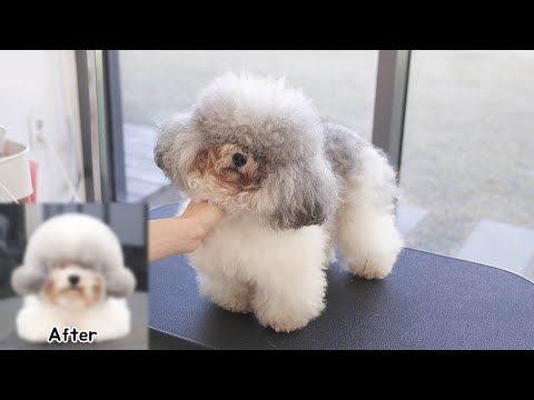 Видео: Я нашел твои потерянные глаза.