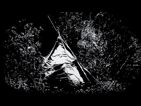 Видео: БУШКРАФТ - ЖИЗНЬ в ЛЕСУ - ТИППИ