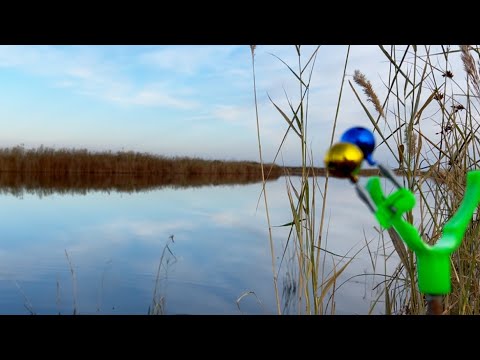 Видео: НА ДОНКУ В Октябре попал НА ЖОР КАРАСЯ!!!Рыбалка на карася в октябре на донку!