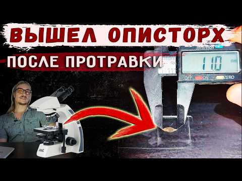 Видео: Вышел печеночный сосальщик (описторх) после антипаразитарной протравки