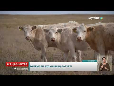 Видео: Әйтеке би ауданының әлеуеті