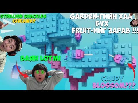 Видео: GARDEN ДАХЬ БҮХ FRUIT-ЭЭ ЗАРАВ!!!  I GROW A GARDEN