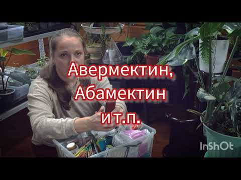 Видео: зелёная аптечка цветовода и садовода || от болезней и вредителей на комнатных растениях и в саду