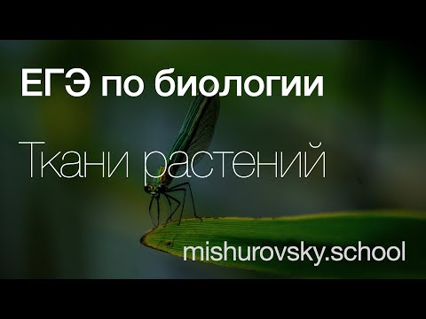 Видео: Почему ткани Растений отличаются от тканей Животных? | Биология ЕГЭ