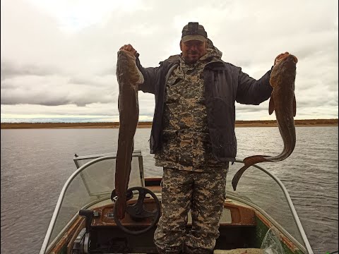 Видео: Рыбалка.Налим#Окунь#Щука#"ЭЛЬДОРАДО!