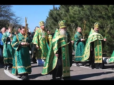 Видео: "Когда Ты шел в Иерусалим". Вход Господень в Иерусалим. Вербное воскресение. Никольское